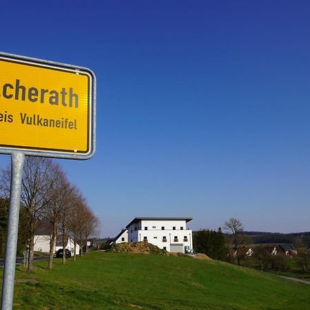 Welcherath Nuerburgring Aparts מראה חיצוני תמונה